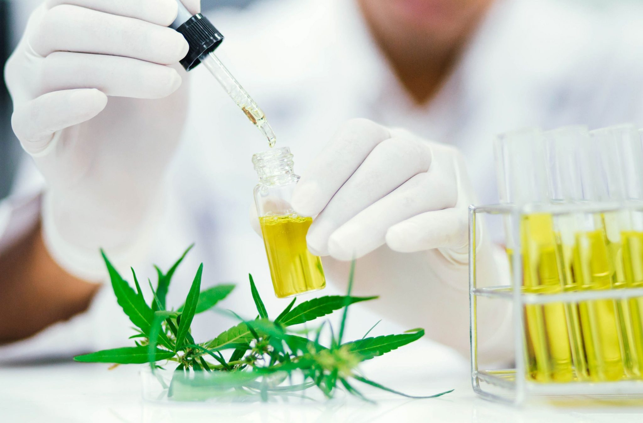 Why Cheaper Cannabis Does NOT Mean Safe for Consumption